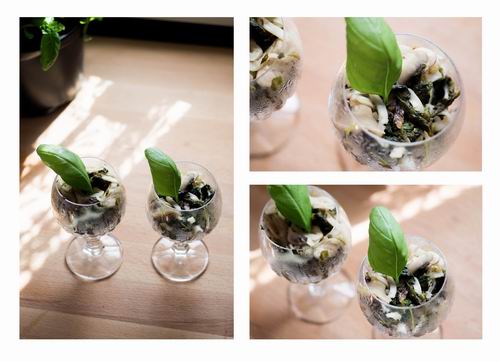 Größenänderung Unbenannt-1