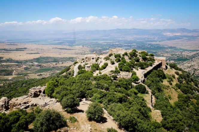 Größenänderung DSC06303-2