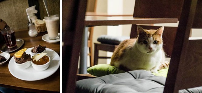 Größenänderung DSC00595-2 Kopie