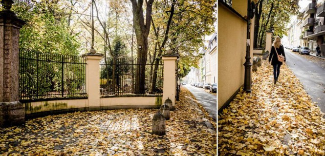 Größenänderung DSC00637-2 Kopie