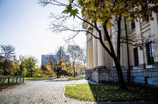 Größenänderung DSC00725-2