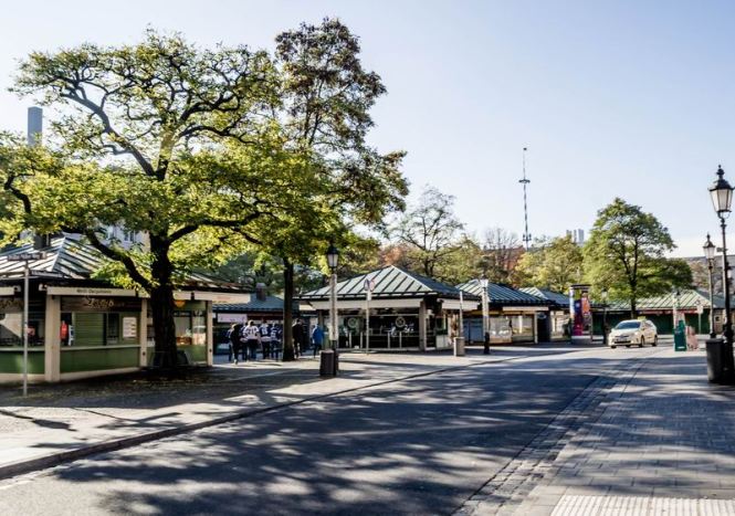 Größenänderung DSC00815-2