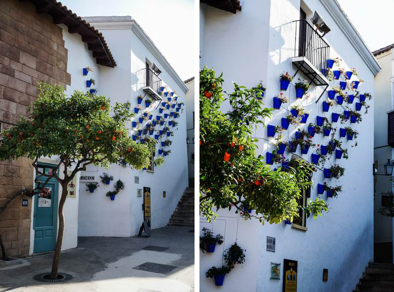 Größenänderung DSC04156-2 Kopie.jpg