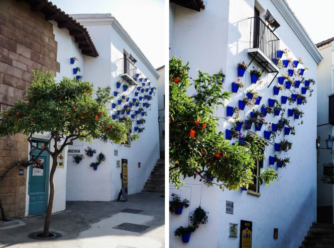 Größenänderung DSC04156-2 Kopie.jpg