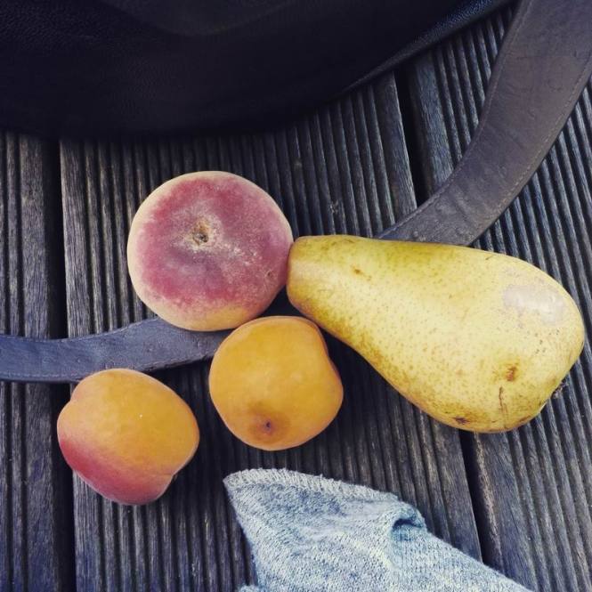 Größenänderung IMG_20160607_184934