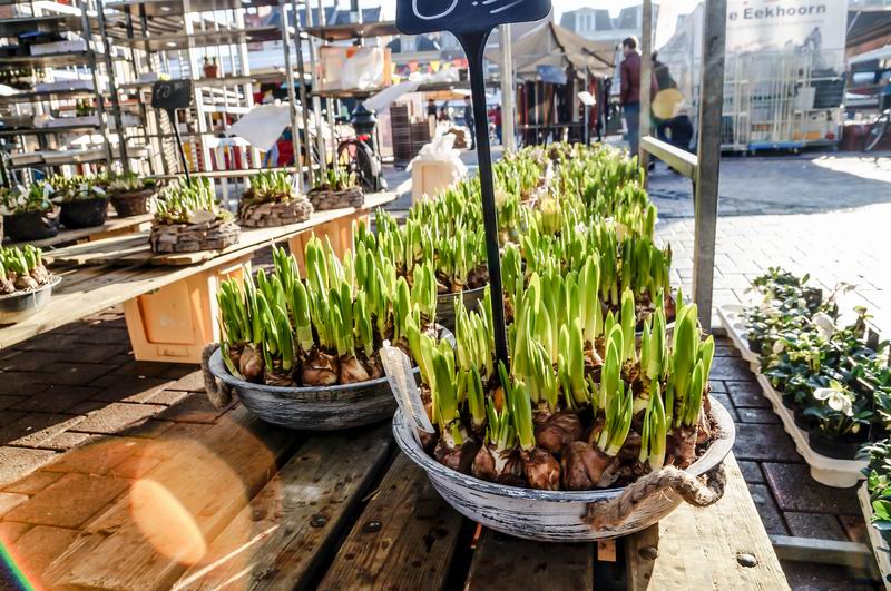 grosenanderung-dsc09617-2