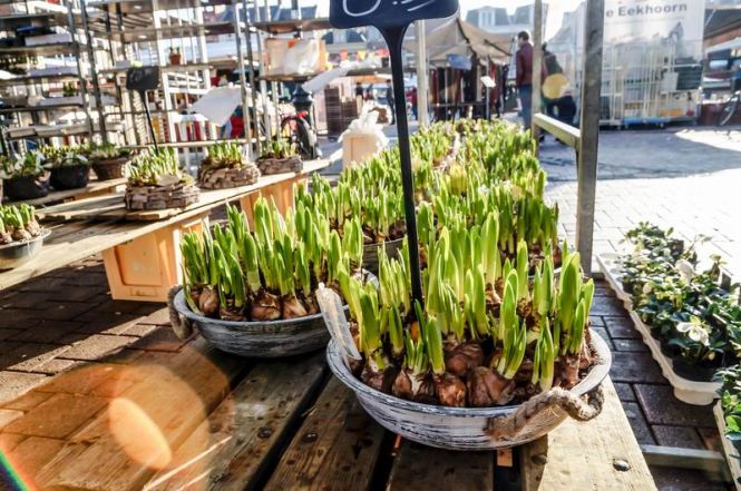 grosenanderung-dsc09617-2