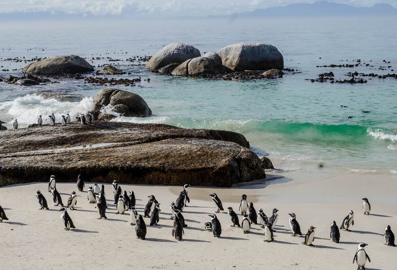 Größenänderung DSC03289-2