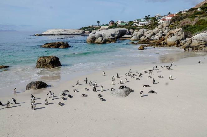 Größenänderung DSC03290-3