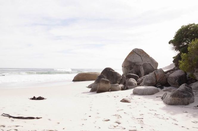 Größenänderung DSC03859-2.jpg