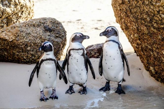 Größenänderung DSC04131-2