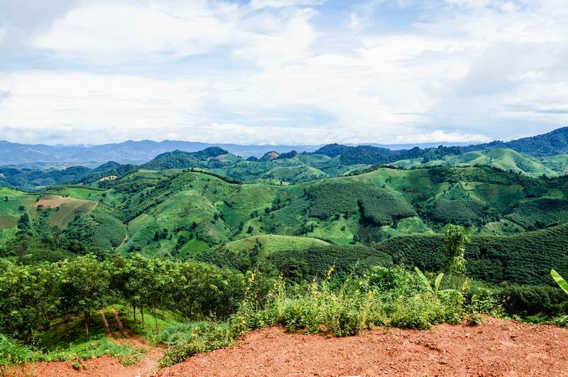 Größenänderung DSC00058-2