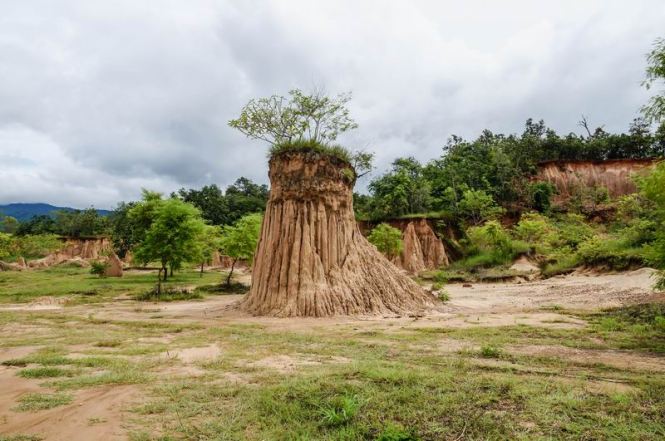 Größenänderung DSC09704-2