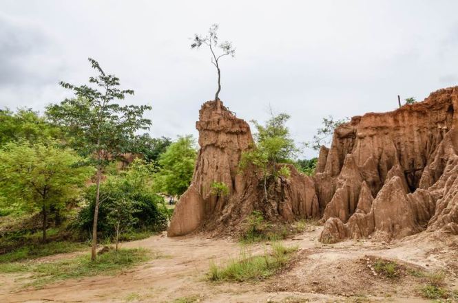 Größenänderung DSC09712-2