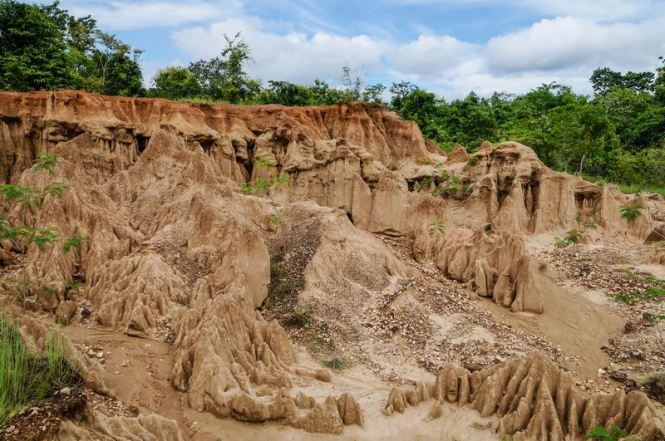 Größenänderung DSC09752-2