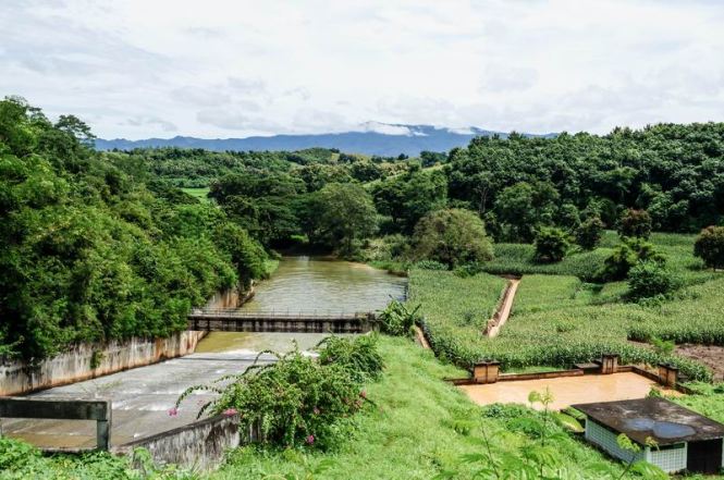 Größenänderung DSC09904-2