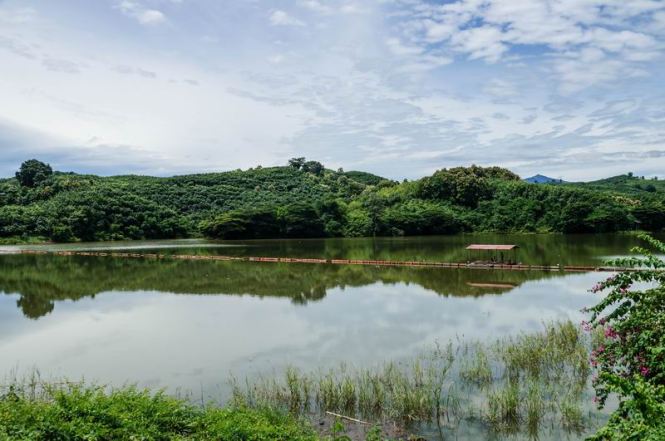 Größenänderung DSC09907-2