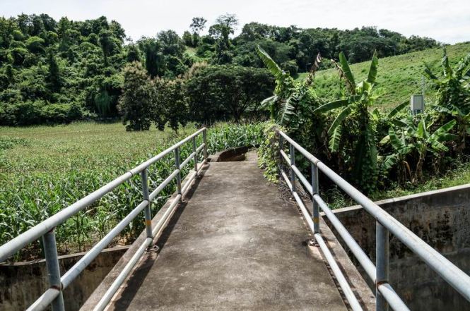 Größenänderung DSC09910-2