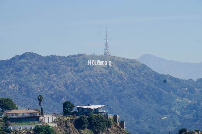 Größenänderung DSC02340-2