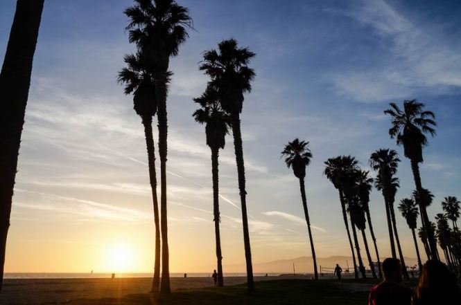 Größenänderung DSC02591-2