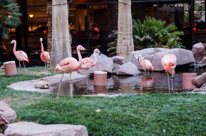 Größenänderung DSC03631-2