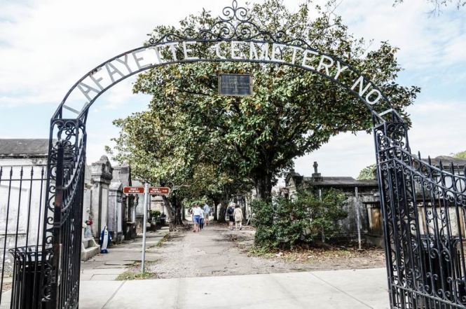 Größenänderung DSC03858-2