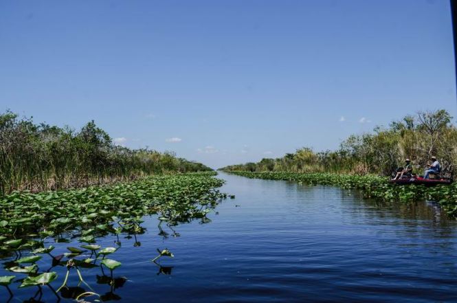 Größenänderung DSC05258-2