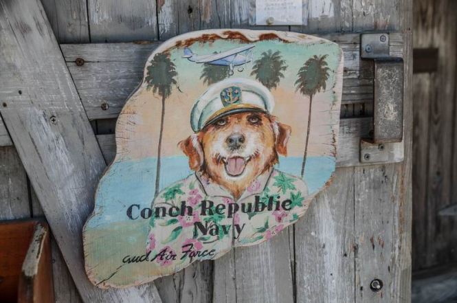 Größenänderung DSC05484-2