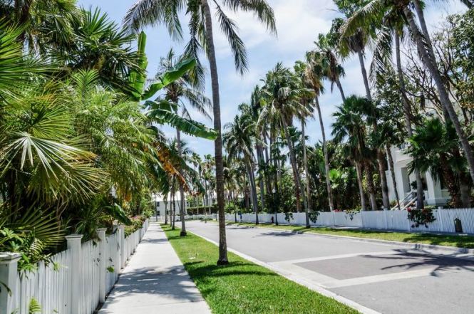 Größenänderung DSC05585-2