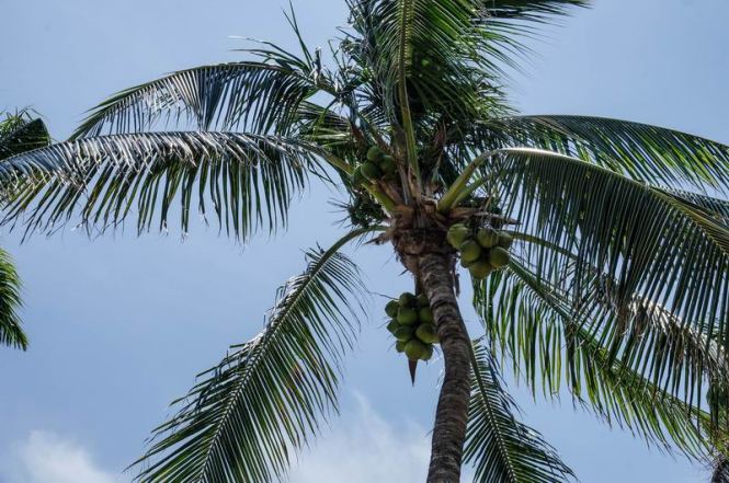 Größenänderung DSC05587-2