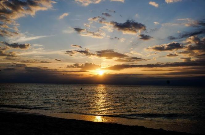 Größenänderung DSC05657-2