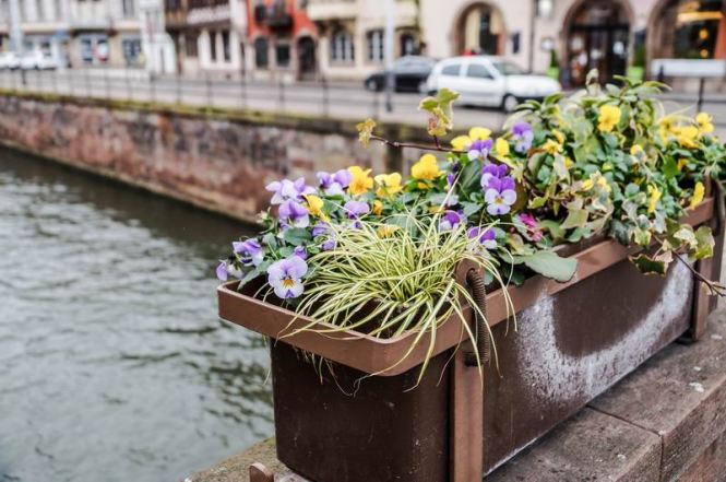 Größenänderung DSC00262-2