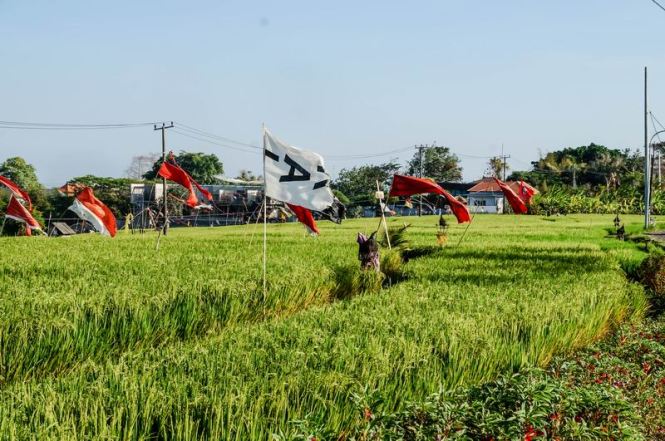 Größenänderung DSC03465-2