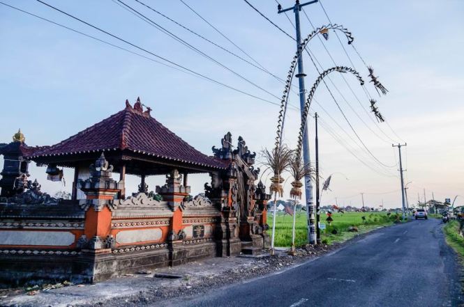 Größenänderung DSC03513-2