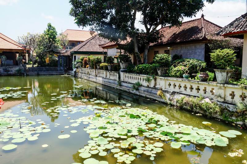 Größenänderung DSC04543-2