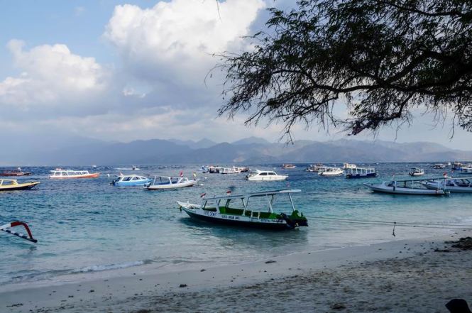 Größenänderung DSC04870-2