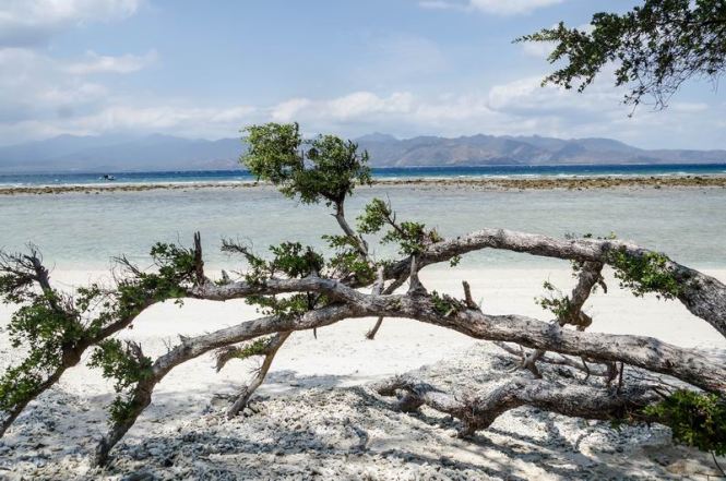 Größenänderung DSC04900-2