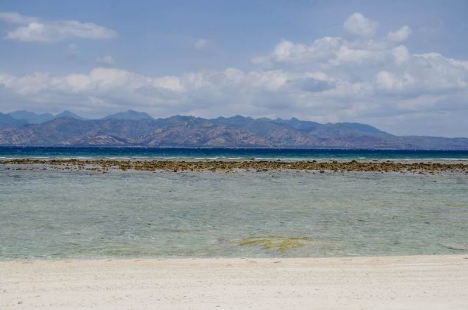 Größenänderung DSC04973-2